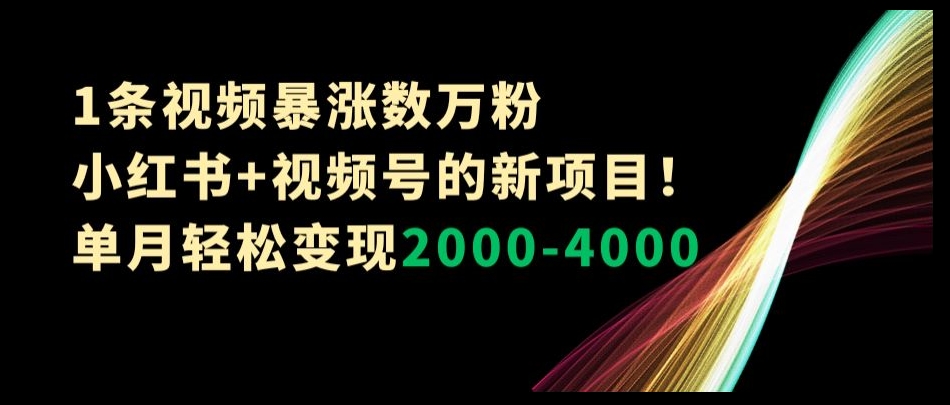 1条视频暴涨数万粉–小红书+视频号的新项目！单月轻松变现2000-4000【揭秘】-八号资源库