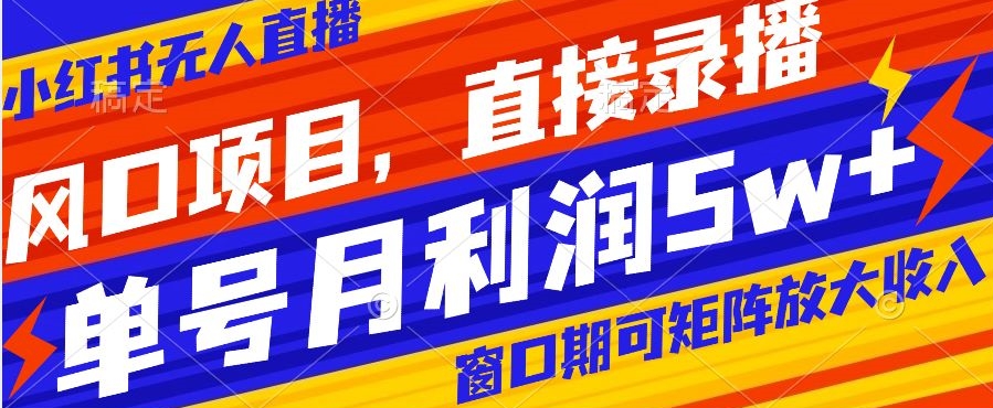 风口项目，小红书无人直播带货，直接录播，可矩阵，月入5w+【揭秘】-八号资源库