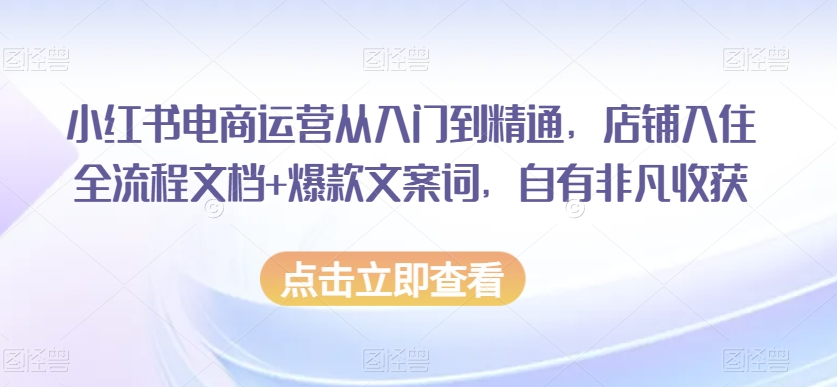 小红书电商运营从入门到精通，店铺入住全流程文档+爆款文案词，自有非凡收获-八号资源库