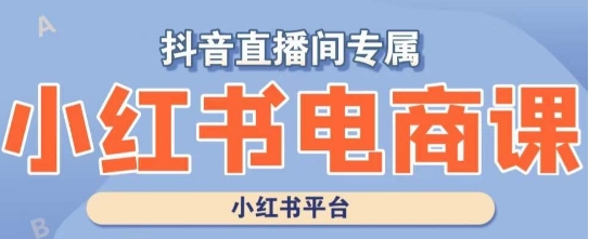 小红书电商高级运营课程，实操教学+案例分析-八号资源库