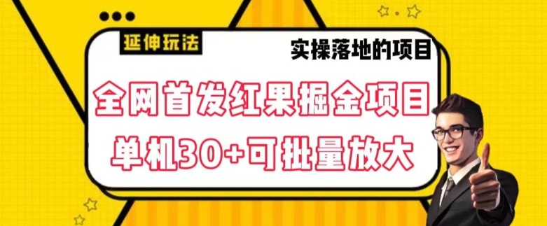 全网首发红果免费短剧掘金项目，单机30+可批量放大【揭秘】-八号资源库