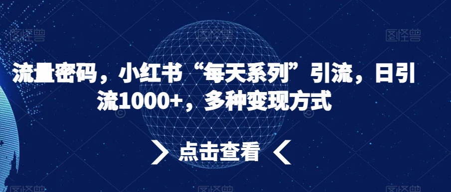 流量密码，小红书“每天系列”引流，日引流1000+，多种变现方式【揭秘】-八号资源库