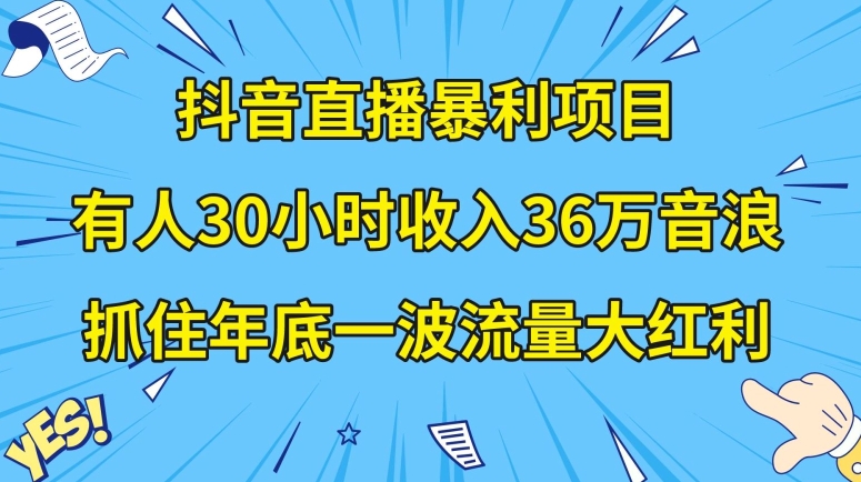 抖音直播暴利项目，有人30小时收入36万音浪，公司宣传片年会视频制作，抓住年底一波流量大红利【揭秘】-八号资源库