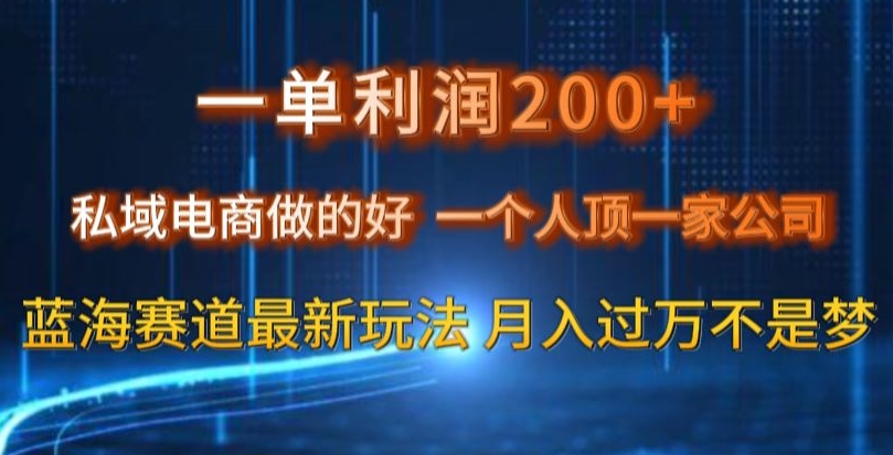 一单利润200私域电商做的好，一个人顶一家公司蓝海赛道最新玩法【揭秘】-八号资源库