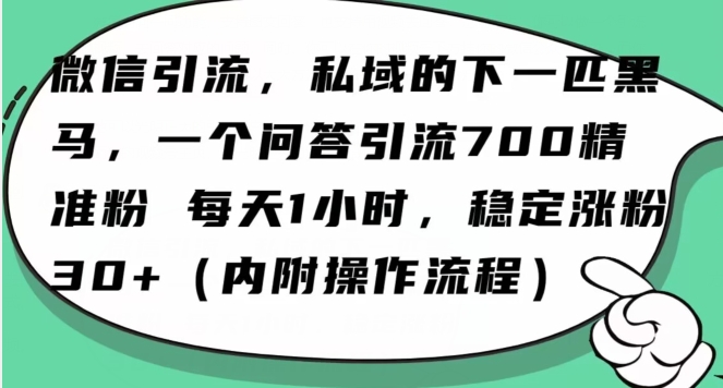 怎么搞精准创业粉？微信新赛道，每天一小时，利用Ai一个问答日引100精准粉-八号资源库