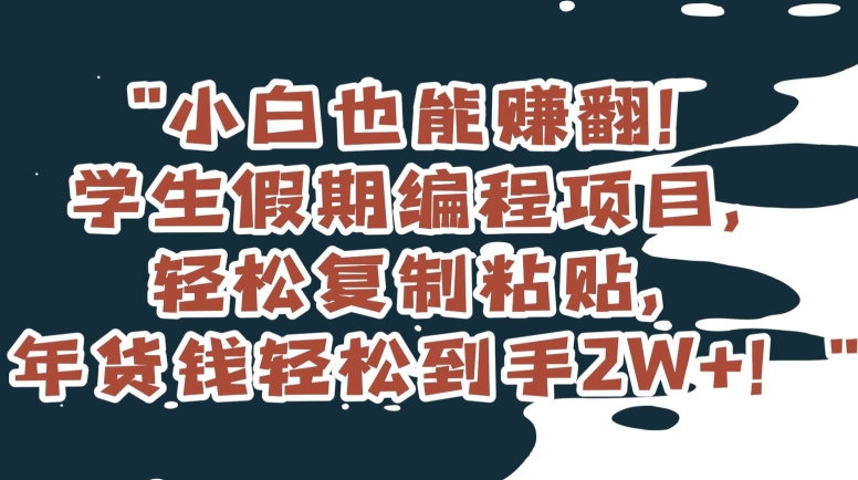 小白也能赚翻！学生假期编程项目，轻松复制粘贴，年货钱轻松到手2W+【揭秘】-八号资源库