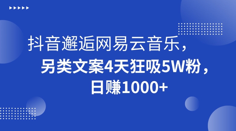 抖音邂逅网易云音乐，另类文案4天狂吸5W粉，日赚1000+【揭秘】-八号资源库