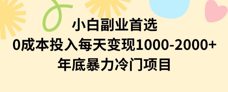 小白副业首选，0成本投入，每天变现1000-2000年底暴力冷门项目【揭秘】-八号资源库