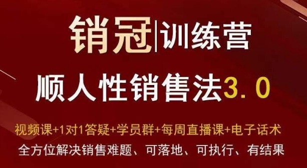 爆款！销冠训练营3.0之顺人性销售法，全方位解决销售难题、可落地、可执行、有结果-八号资源库