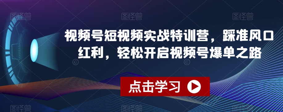 视频号短视频实战特训营，踩准风口红利，轻松开启视频号爆单之路-八号资源库