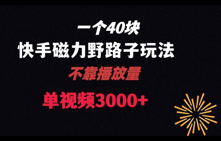 一个40块，快手联合美团磁力新玩法，无视机制野路子玩法，单视频收益4位数【揭秘】-八号资源库