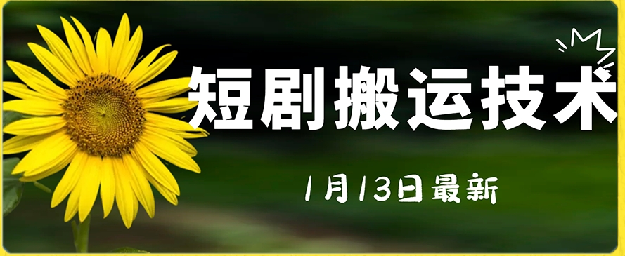 最新短剧搬运技术，电脑手机都可以操作，不限制机型-八号资源库