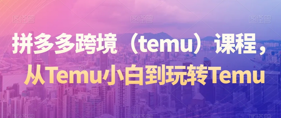 拼多多跨境（temu）课程，从Temu小白到玩转Temu-八号资源库