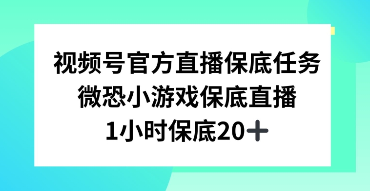 视频号直播任务，微恐小游戏，1小时20+【揭秘】-八号资源库