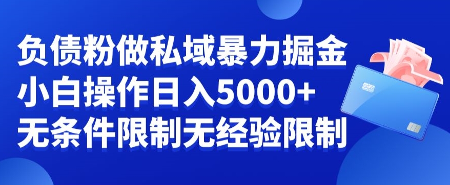 负债粉私域暴力掘金，小白操作入5000，无经验限制，无条件限制【揭秘】-八号资源库