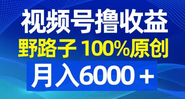 视频号野路子撸收益，100%原创，条条爆款，月入6000＋【揭秘】-八号资源库