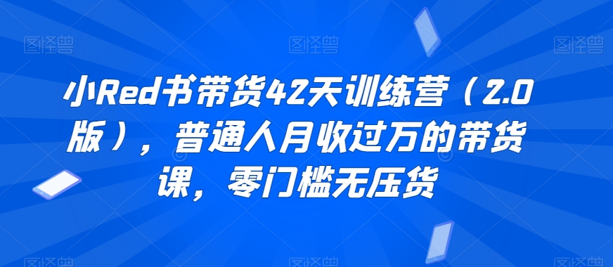 小Red书带货42天训练营（2.0版），普通人月收过万的带货课，零门槛无压货-八号资源库