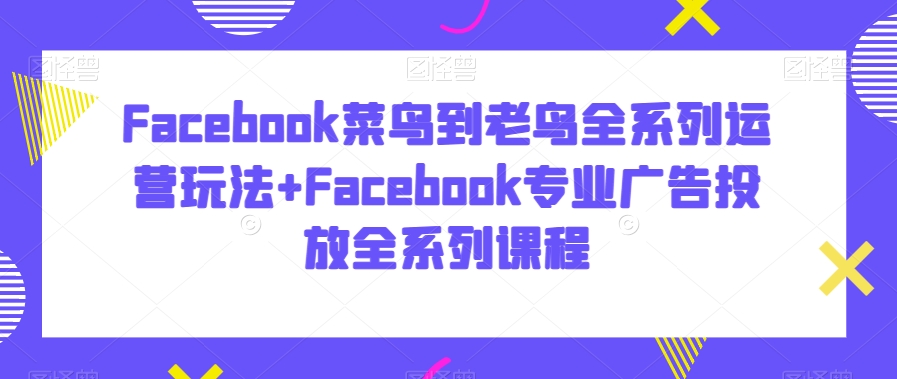 Facebook菜鸟到老鸟全系列运营玩法+Facebook专业广告投放全系列课程-八号资源库