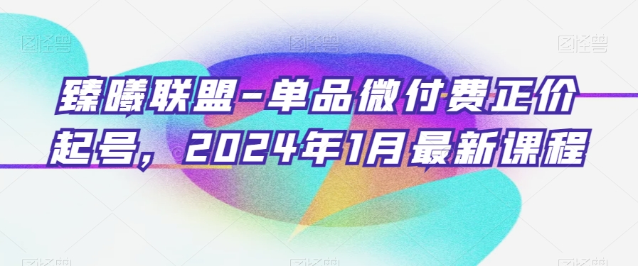 臻曦联盟-单品微付费正价起号，2024年1月最新课程-八号资源库
