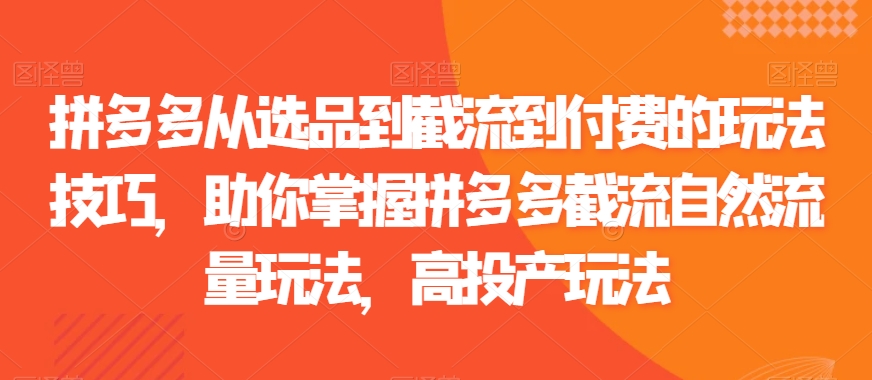 拼多多从选品到截流到付费的玩法技巧，助你掌握拼多多截流自然流量玩法，高投产玩法-八号资源库