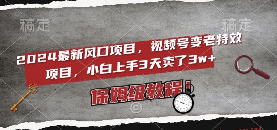 2024最新风口项目，视频号变老特效项目，电脑小白上手3天卖了3w+，保姆级教程【揭秘】-八号资源库
