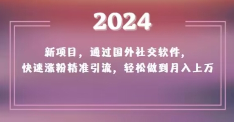 2024新项目，通过国外社交软件，快速涨粉精准引流，轻松做到月入上万【揭秘】-八号资源库