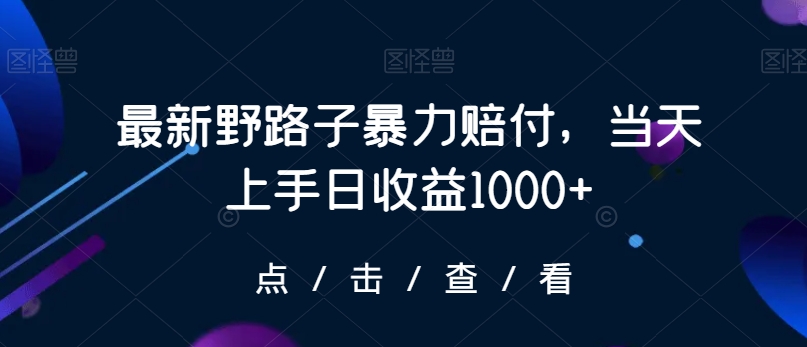 最新野路子暴力赔付，当天上手日收益1000+【仅揭秘】-八号资源库