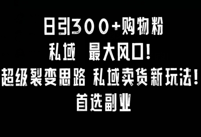 日引300+购物粉，超级裂变思路，私域卖货新玩法，小红书首选副业【揭秘】-八号资源库