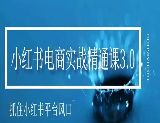 小红书电商实战精通课3.0，抓住小红书平台的风口，不错过有一个赚钱的机会-八号资源库