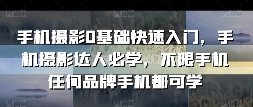 手机摄影0基础快速入门，手机摄影达人必学，不限手机任何品牌手机都可学-八号资源库
