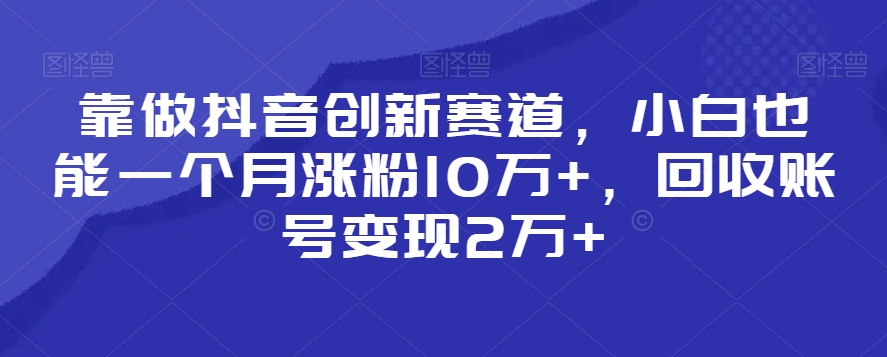 靠做抖音创新赛道，小白也能一个月涨粉10万+，回收账号变现2万+【揭秘】-八号资源库