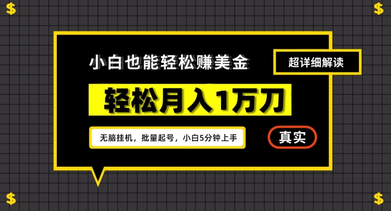 谷歌看广告撸美金2.0，无脑挂机，多号操作，月入1万刀【揭秘】-八号资源库