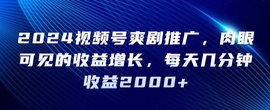 2024视频号爽剧推广，肉眼可见的收益增长，每天几分钟收益2000+【揭秘】-八号资源库