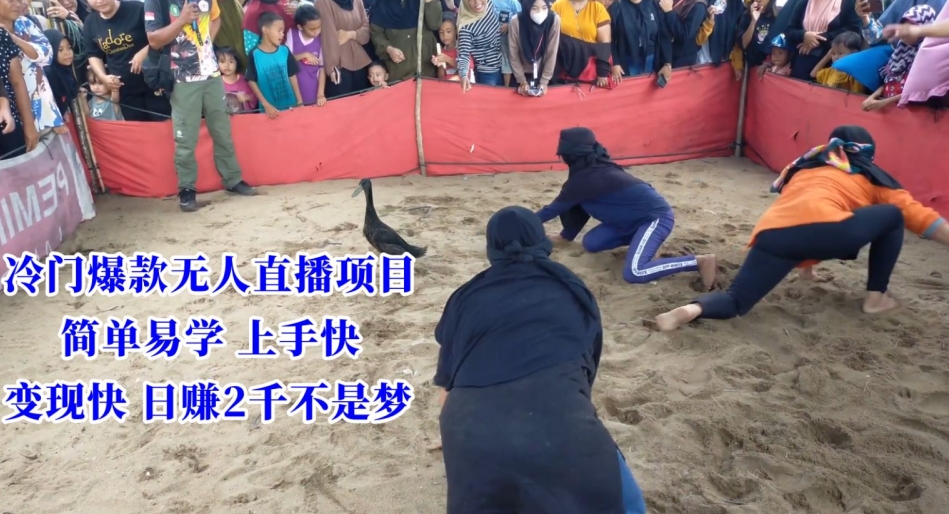 冷门爆款无人直播项目，简单易学上手快，变现快日赚2千不是梦【揭秘】-八号资源库
