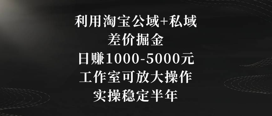 利用淘宝公域+私域差价掘金，日赚1000-5000元，工作室可放大操作，实操稳定半年【揭秘】-八号资源库