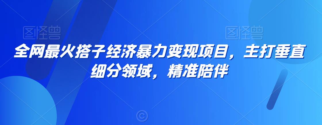 全网最火搭子经济暴力变现项目，主打垂直细分领域，精准陪伴【揭秘】-八号资源库