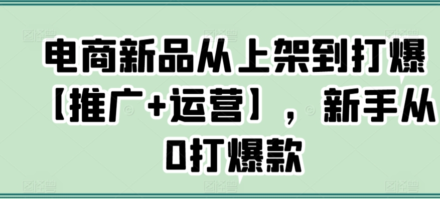 电商新品从上架到打爆【推广+运营】，新手从0打爆款-八号资源库
