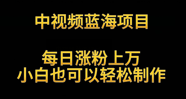 中视频蓝海项目，解读英雄人物生平，每日涨粉上万，小白也可以轻松制作，月入过万不是梦【揭秘】-八号资源库