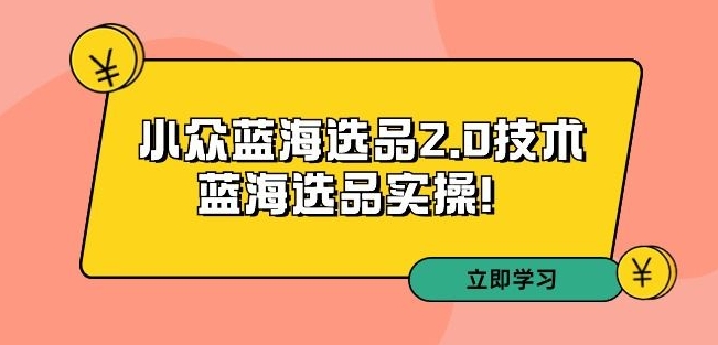 拼多多培训第33期：小众蓝海选品2.0技术-蓝海选品实操！-八号资源库