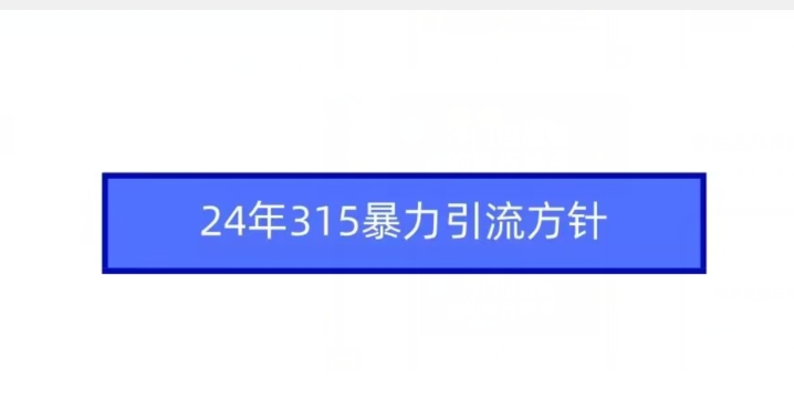 24年315暴力引流方针-八号资源库