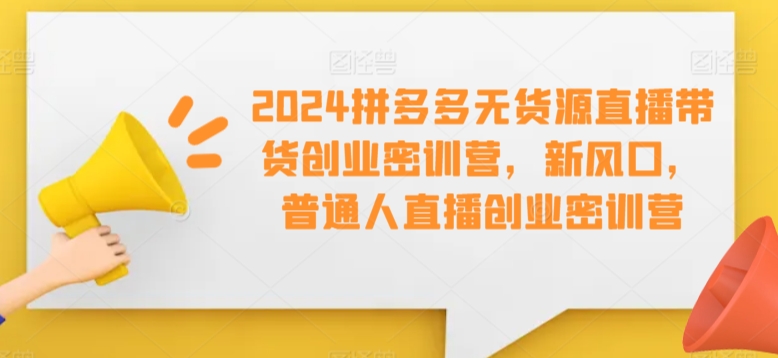 2024拼多多无货源直播带货创业密训营，新风口，普通人直播创业密训营-八号资源库