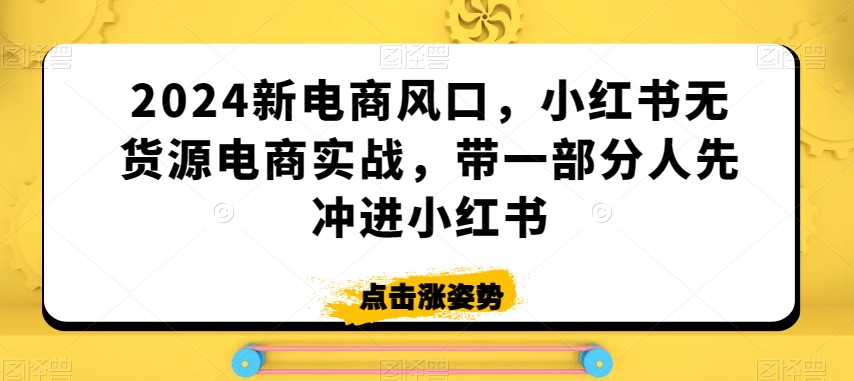 2024新电商风口，小红书无货源电商实战，带一部分人先冲进小红书-八号资源库