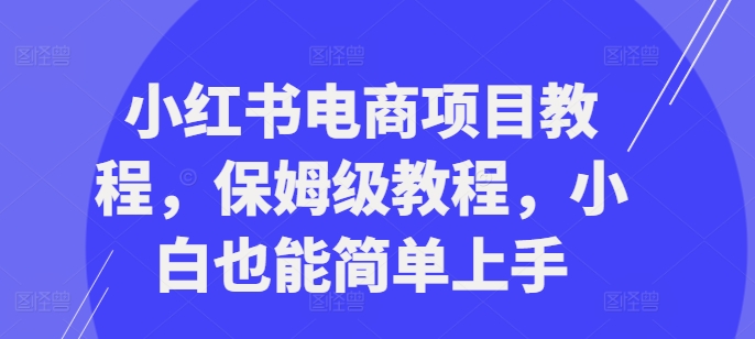 小红书电商项目教程，保姆级教程，小白也能简单上手-八号资源库