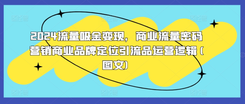2024流量吸金变现，商业流量密码营销商业品牌定位引流品运营逻辑(图文)-八号资源库