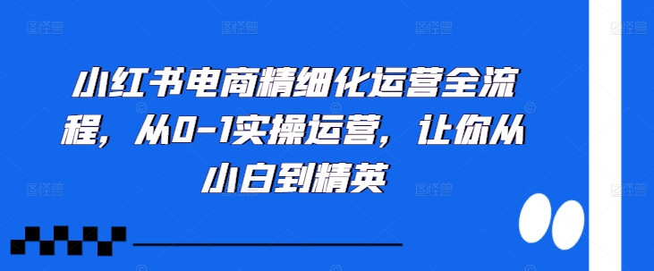 小红书电商精细化运营全流程，从0-1实操运营，让你从小白到精英-八号资源库