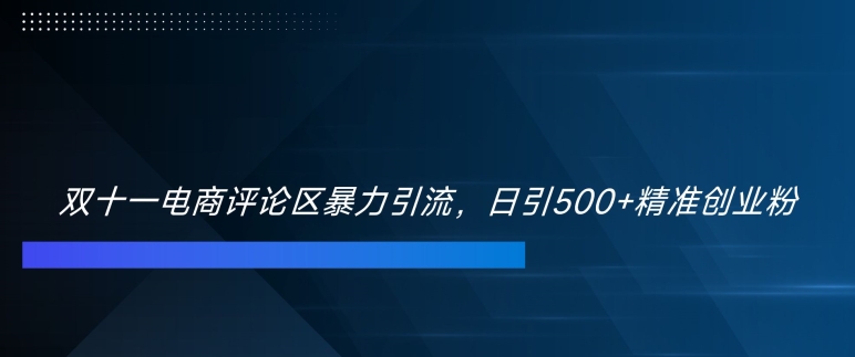 双十一电商评论区暴力引流，日引500+精准创业粉【揭秘】-八号资源库