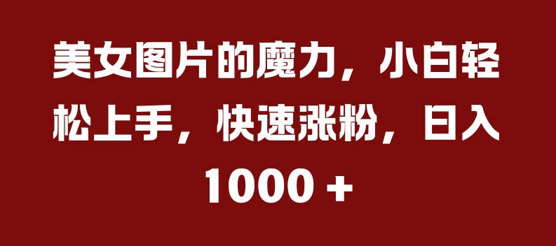 美女图片的魔力，小白轻松上手，快速涨粉，日入几张【揭秘】-八号资源库