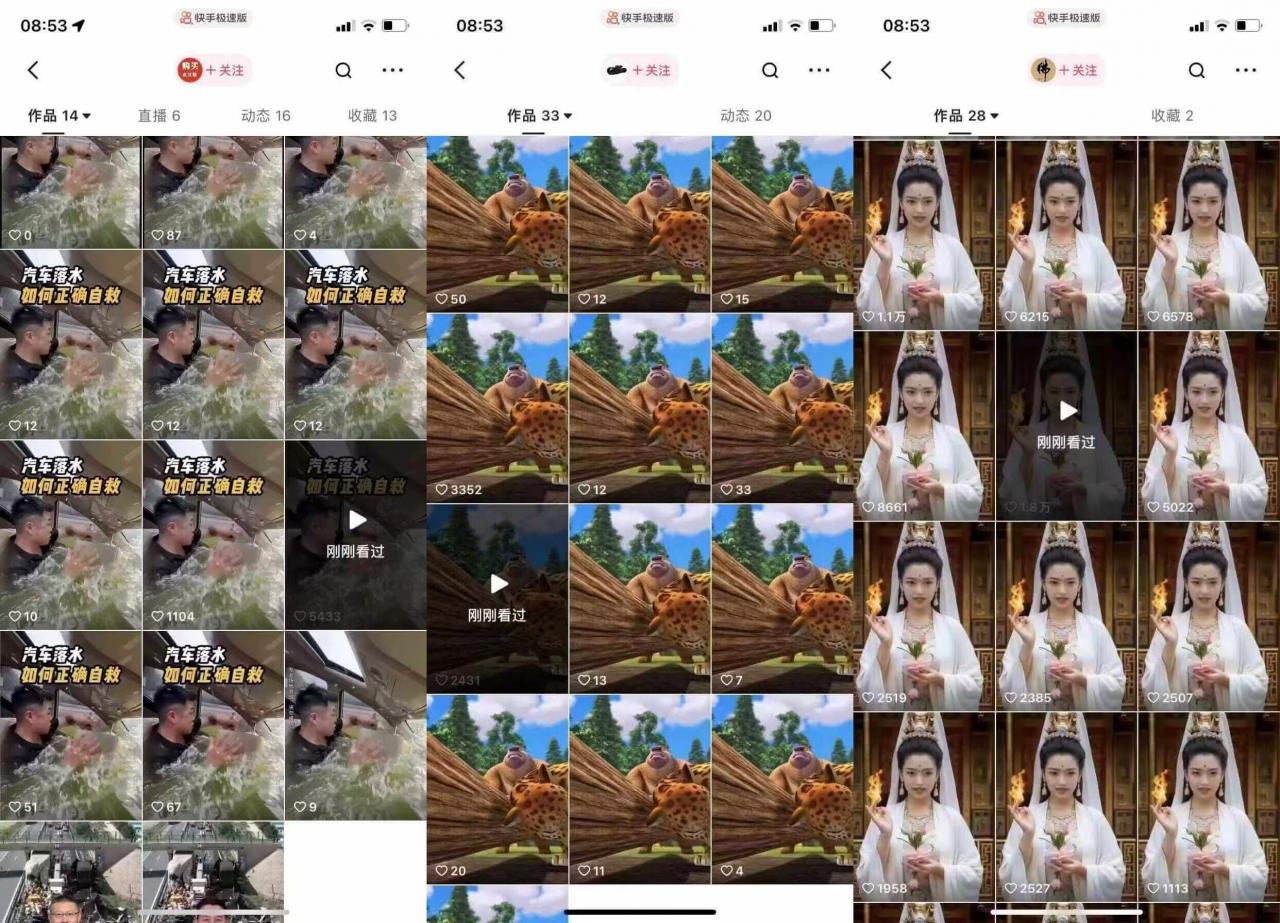 狗熊岭快手连怼技术，好物，涨粉都可以连怼-八号资源库