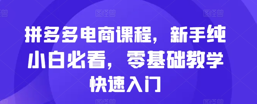 拼多多电商课程，新手纯小白必看，零基础教学快速入门-八号资源库