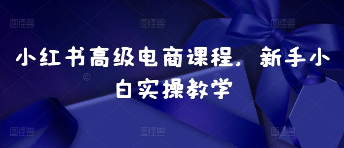小红书高级电商课程，新手小白实操教学-八号资源库